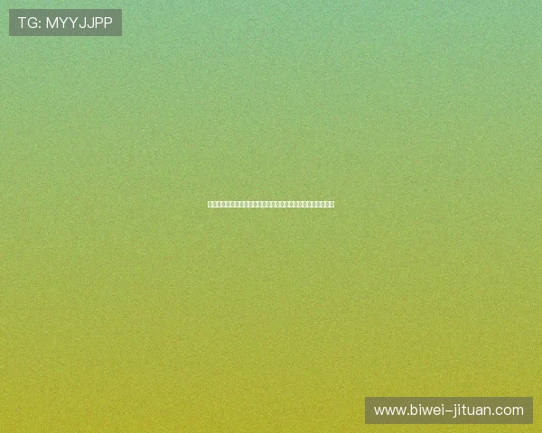 七星官方官方公告，详细解读最新版本更新内容与未来发展方向
